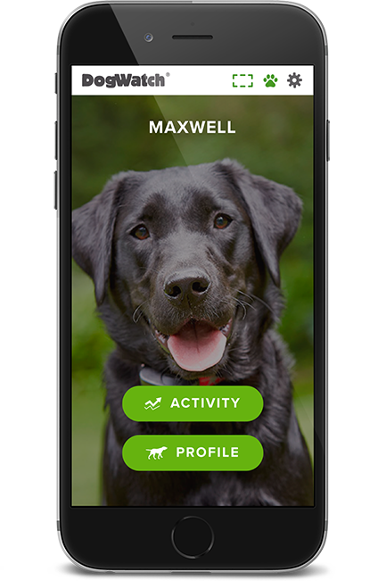 DogWatch of Central New York, Baldwinsville, New York | SmartFence WebApp Image