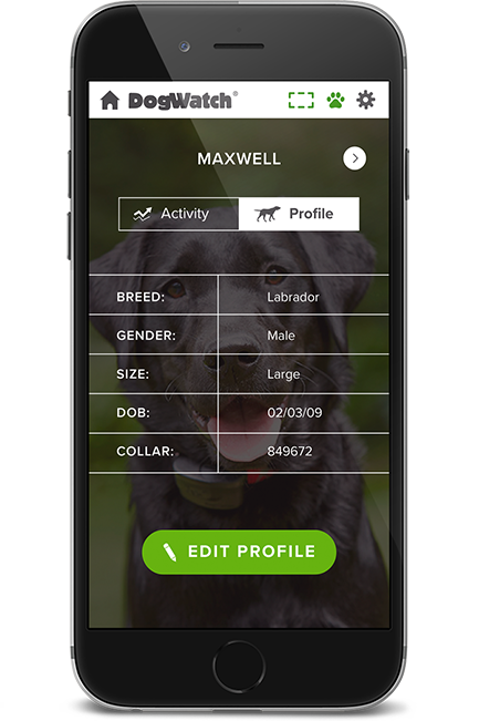 DogWatch of Central New York, Baldwinsville, New York | SmartFence WebApp Image